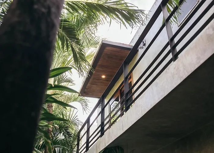 Privada 8
